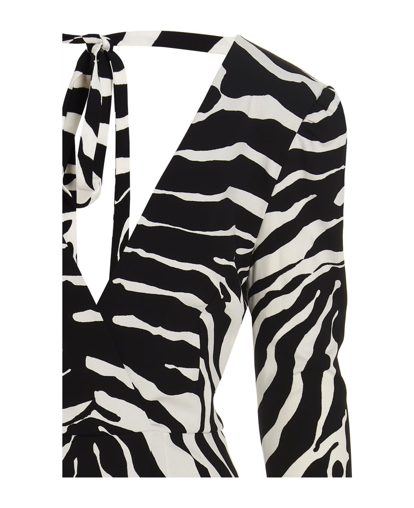Zebra Dress - 3