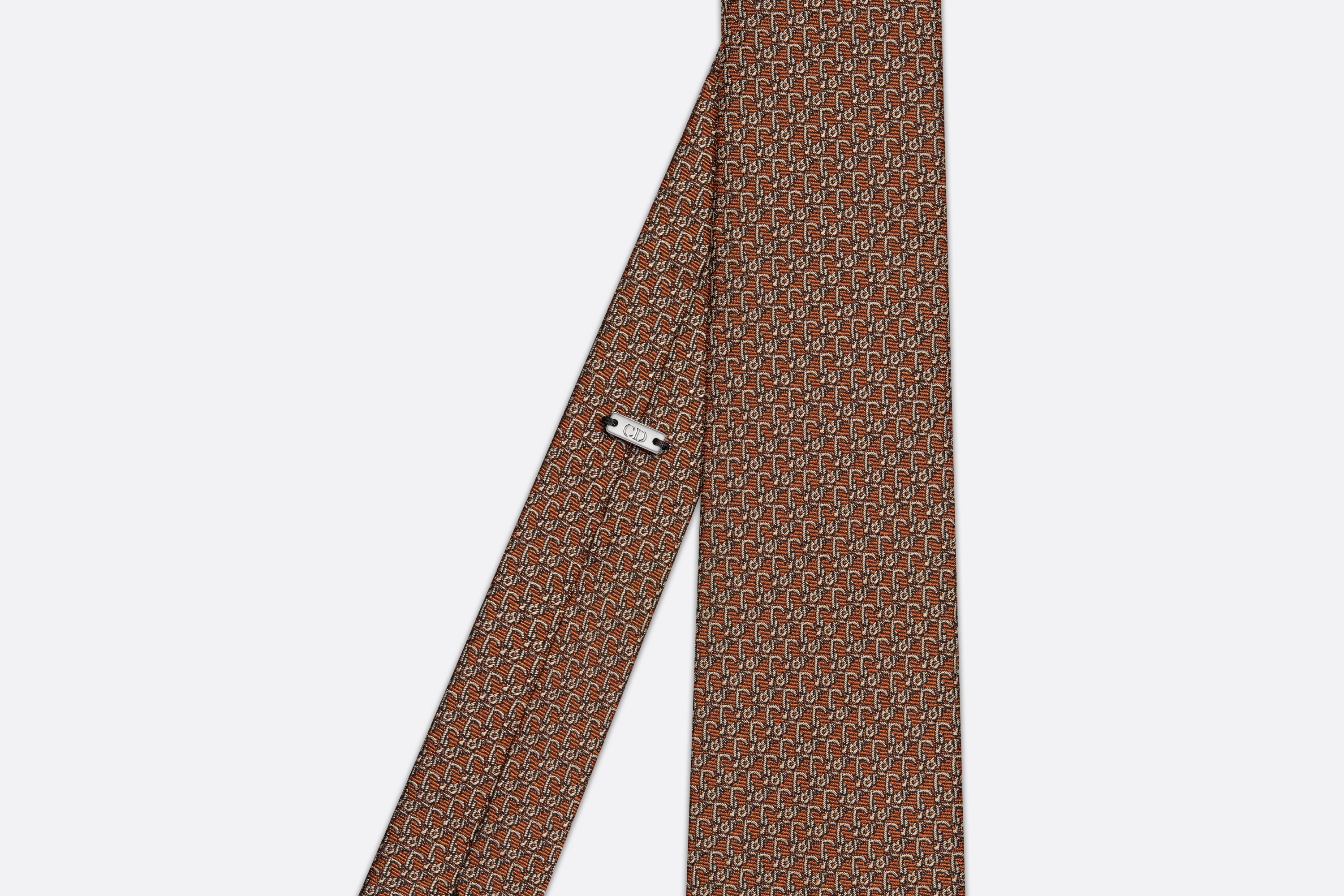 Dior Oblique Archives Tie - 2