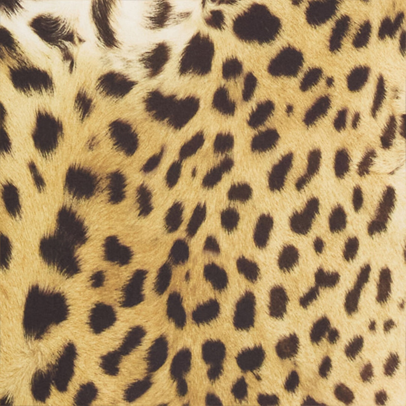 Jumpsuit with Jaguar Skin print 5