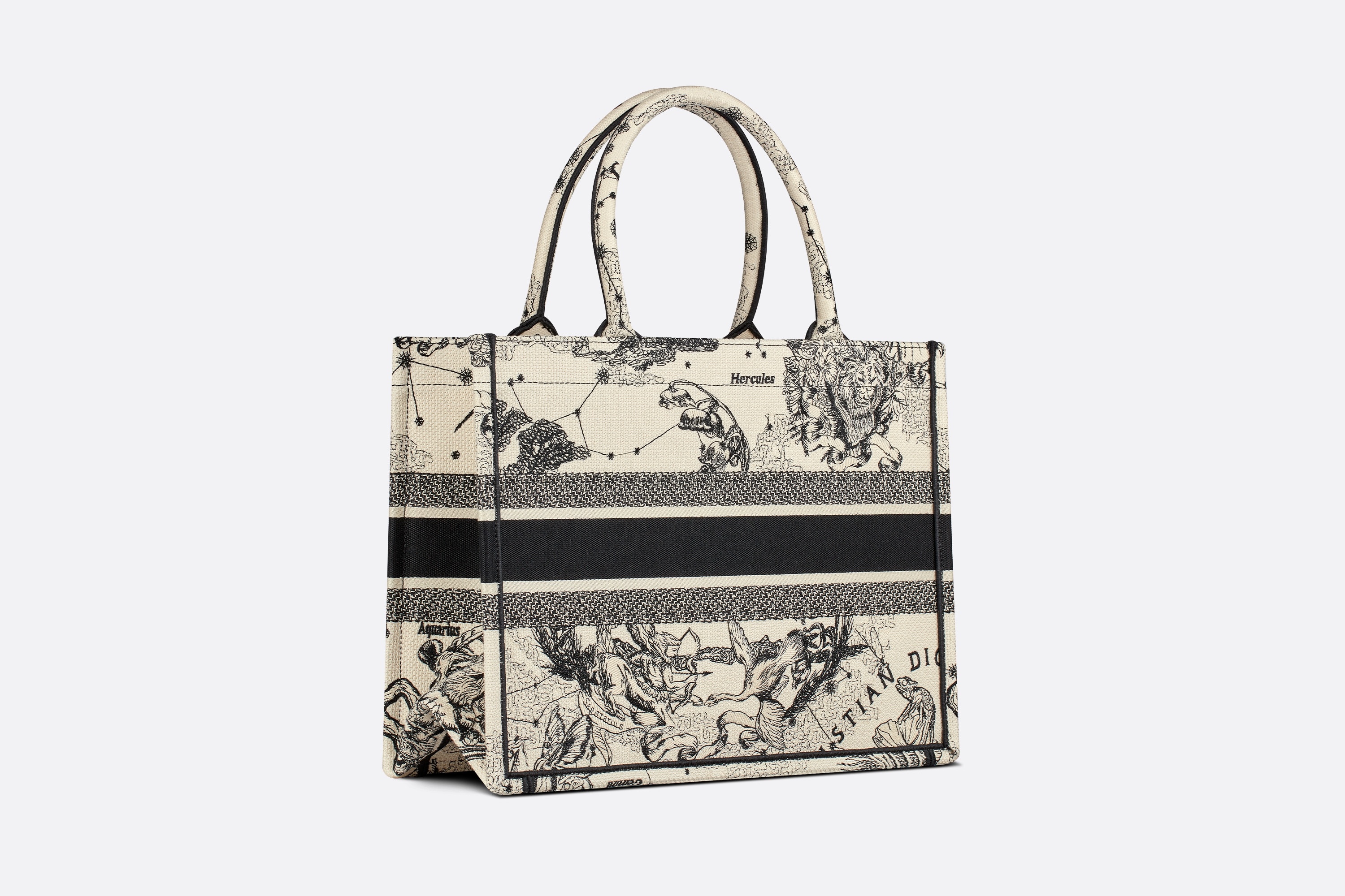 【パリ♪】Paris Dior Souvenir Book Tote バッグ ミディアム DIOR | Dior Book Tote バッグ ミディアム カナージュ
