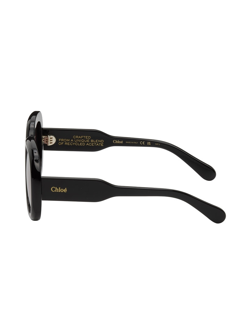 정연한 구조 sunglasses 3