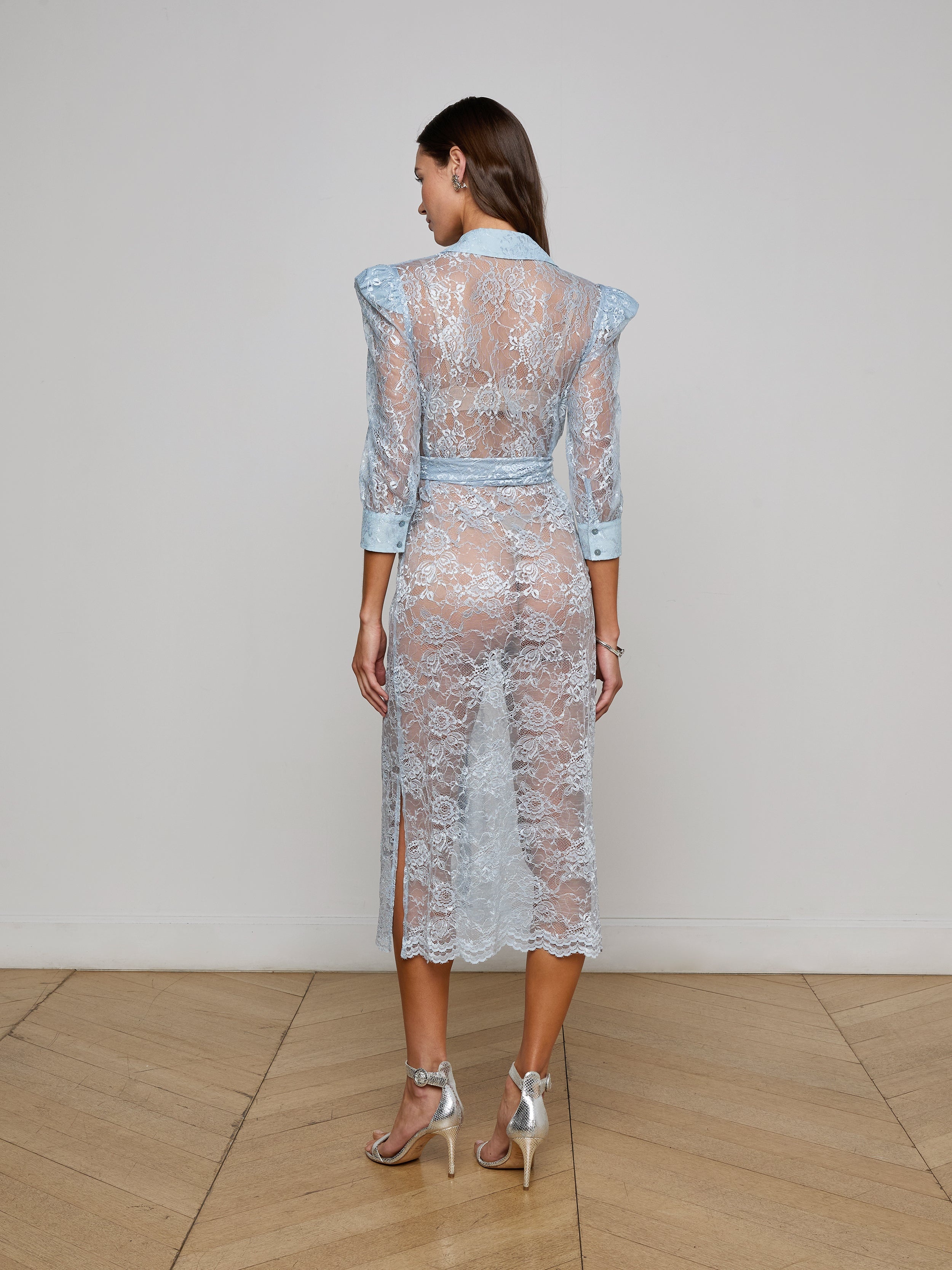 Kaiya Sequined Lace Dress - 4