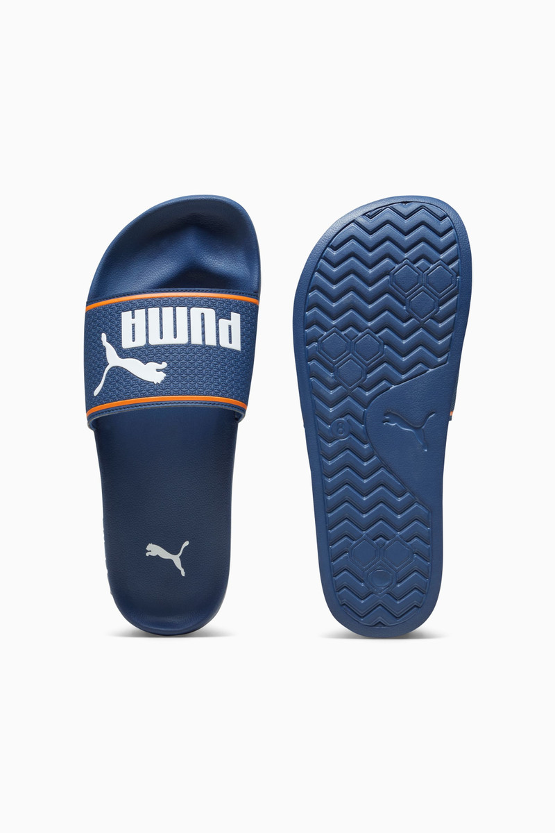 Leadcat 2.0 Slides 1