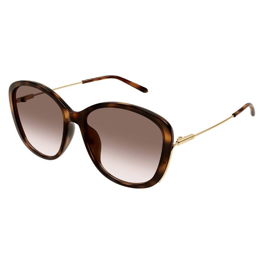 Chloe Brown Gradient Butterfly Ladies Sunglasses CH0175SK 002 59 - 2