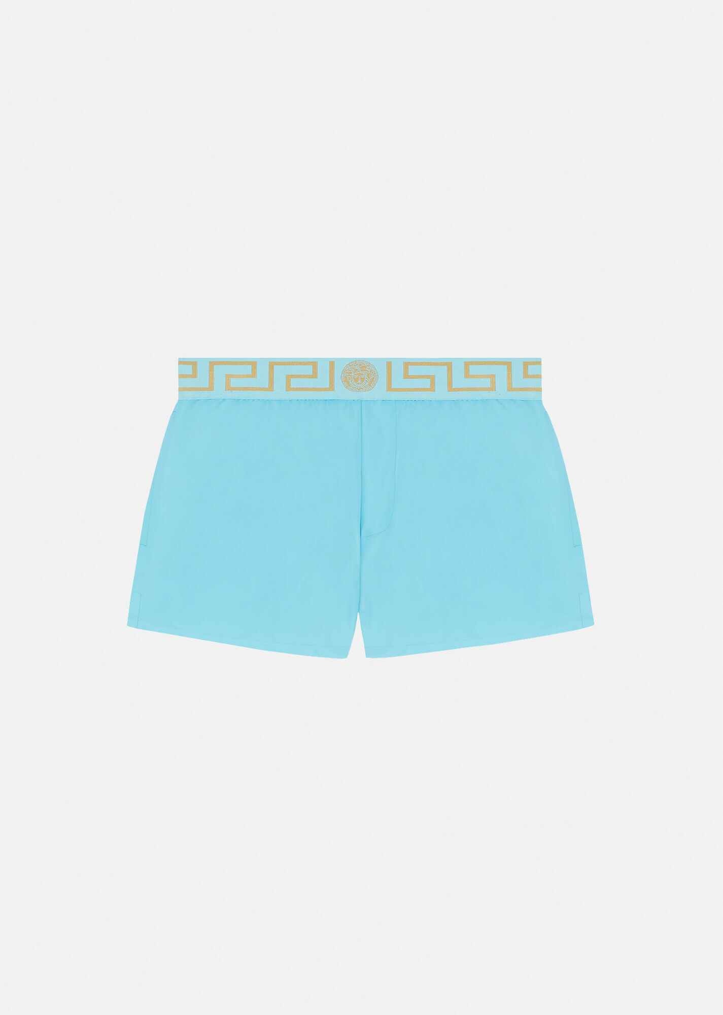 Greca Border Short Swim Shorts - 1