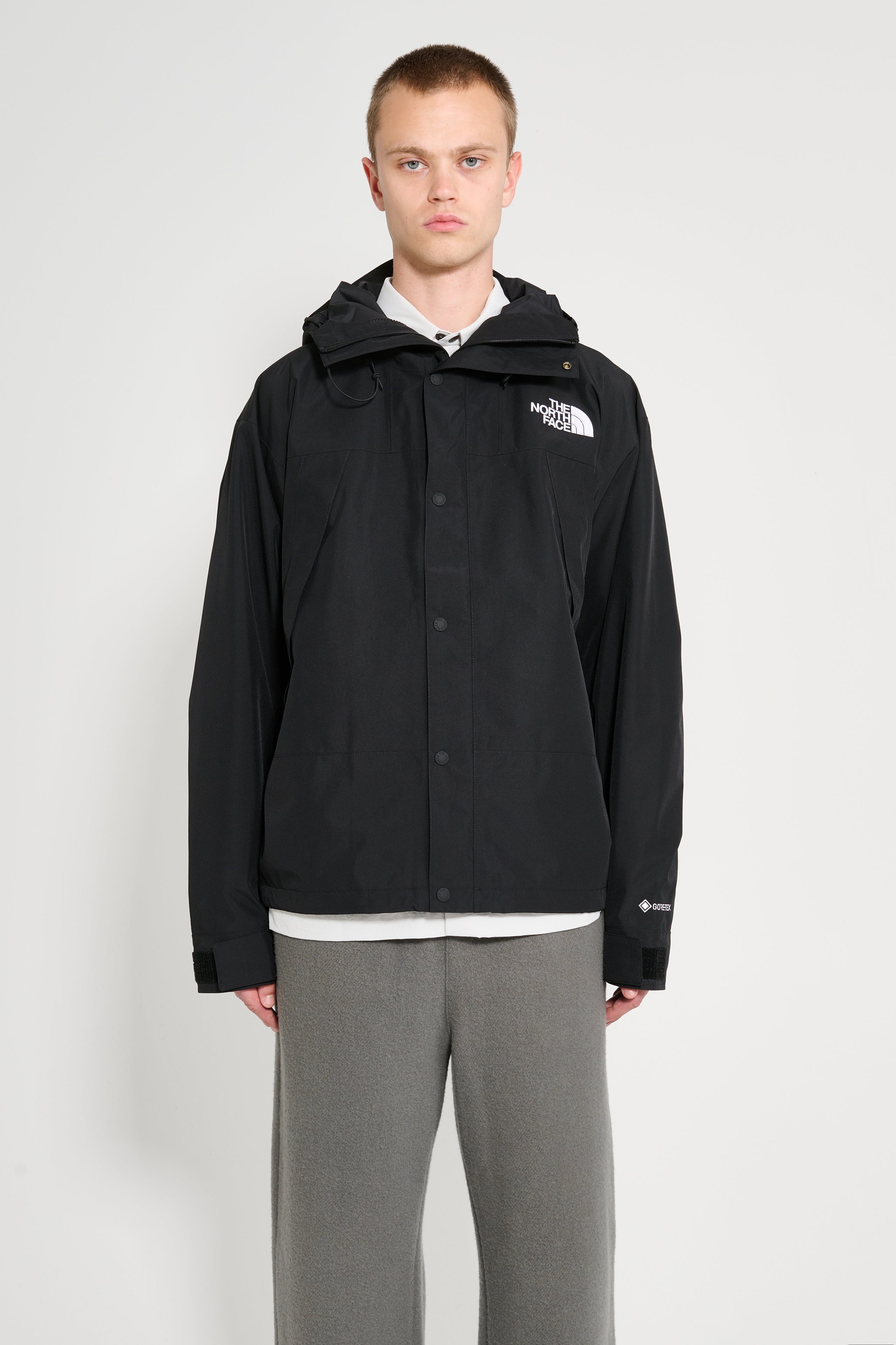 THE NORTH FACE GTX MOUNTAIN JACKET TNF BLACK - 1