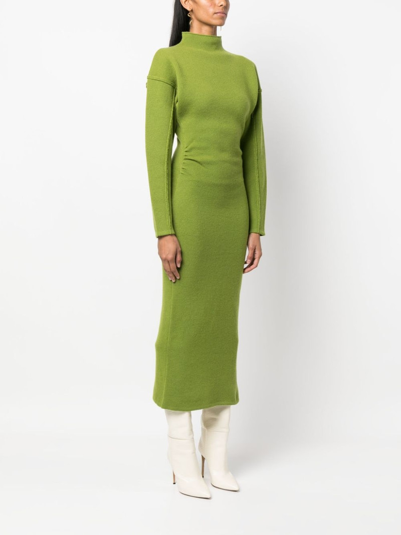 JasÃ© midi dress 3