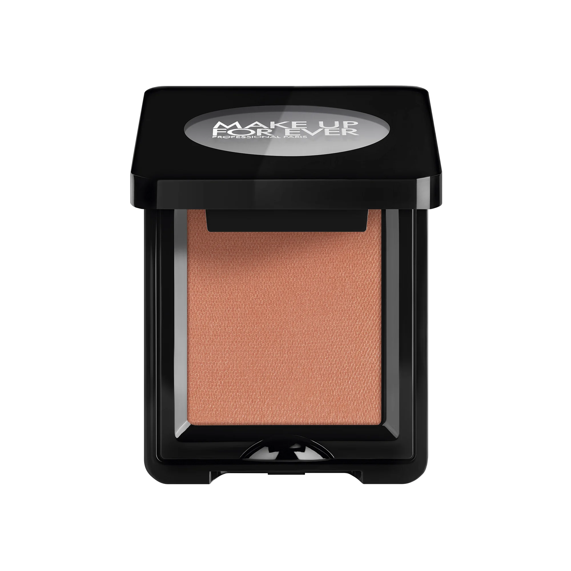 ARTIST EYESHADOW - 1