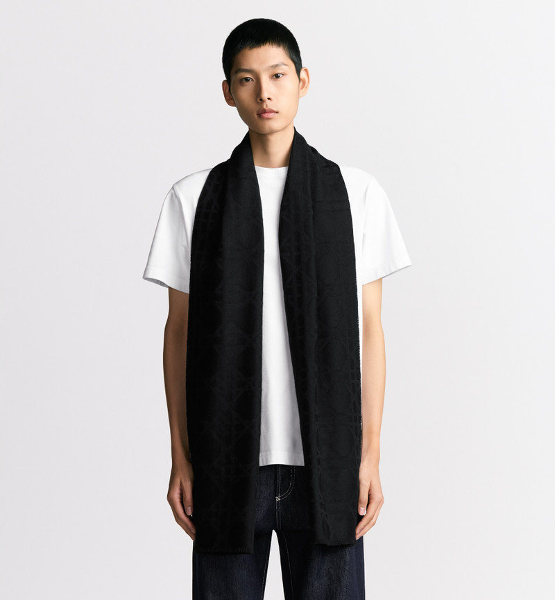 Dior Cannage Scarf outlook