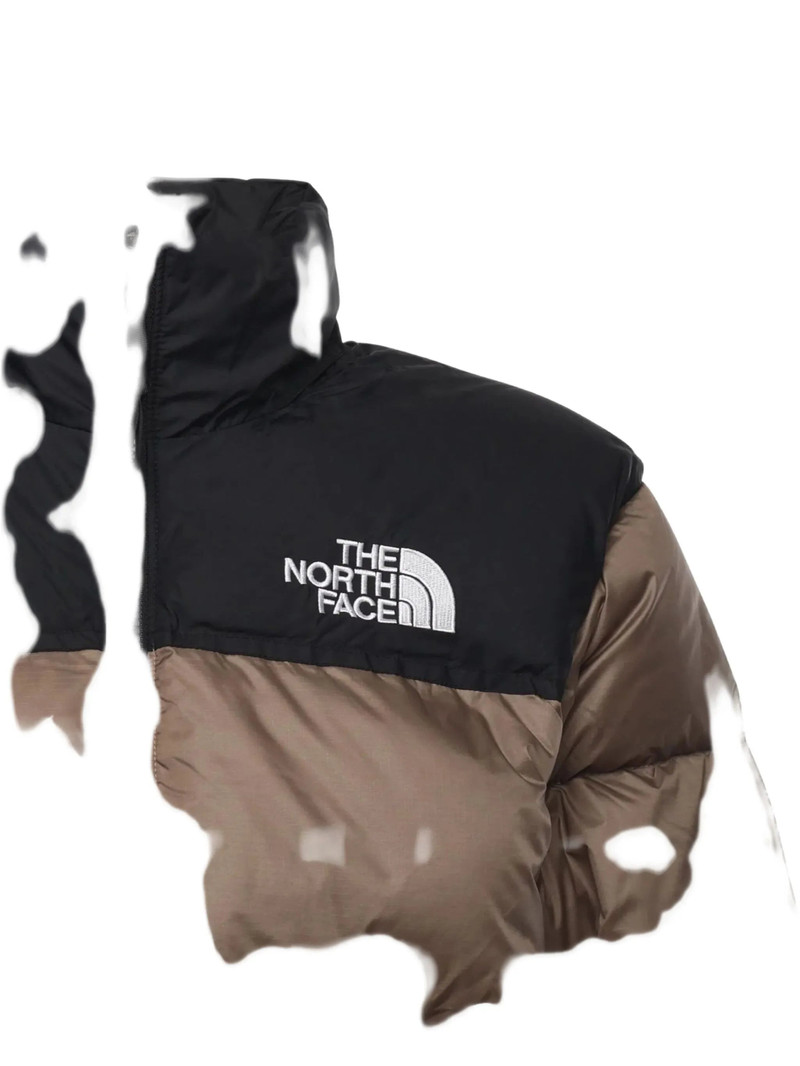 The North Face Himalayan Baltoro Hooded Jacket 3