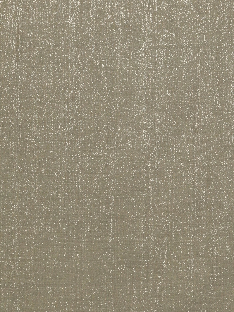 Brunello Cucinelli Brunello Cucinelli Scarves outlook