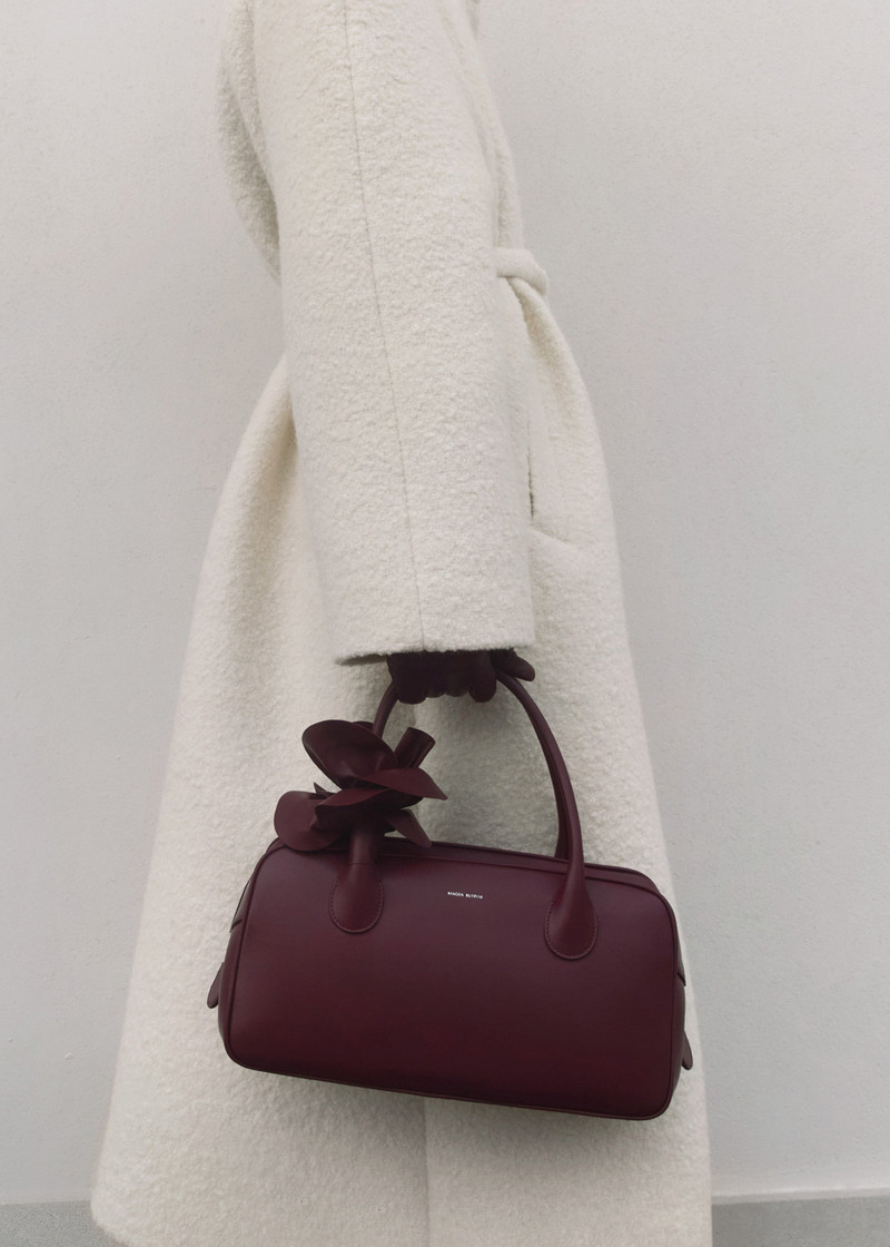Brigitte bag in burgundy leather and silver 4