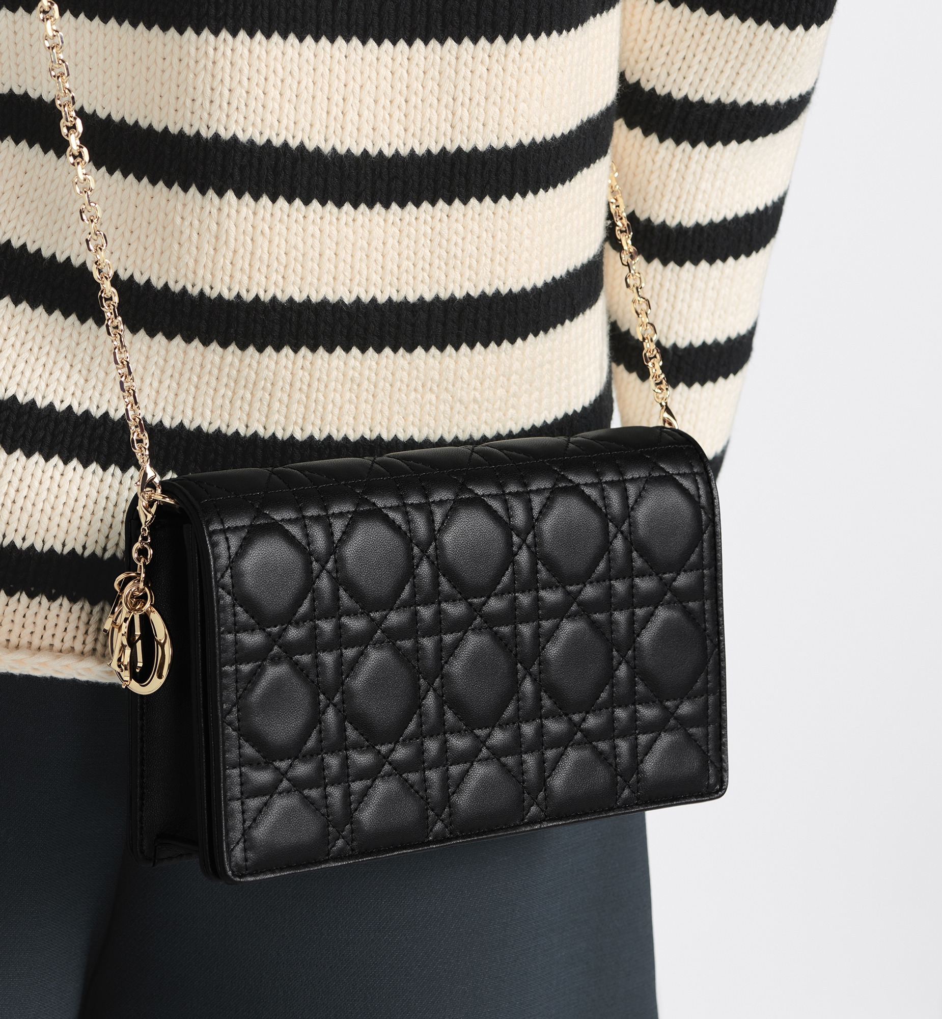 Lady Dior Pouch - 6