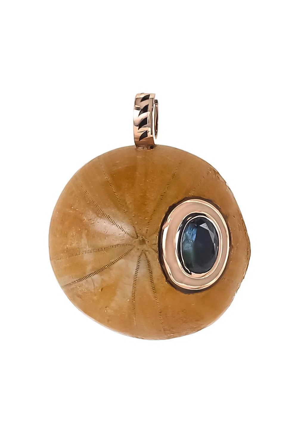 Aquamarine Fossilized Sand Dollar Pendant - 1