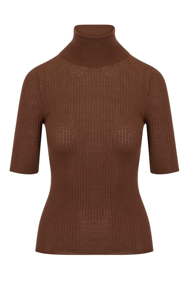 SPRWMN CHOCOLATE CASHMERE TURTLENECK outlook