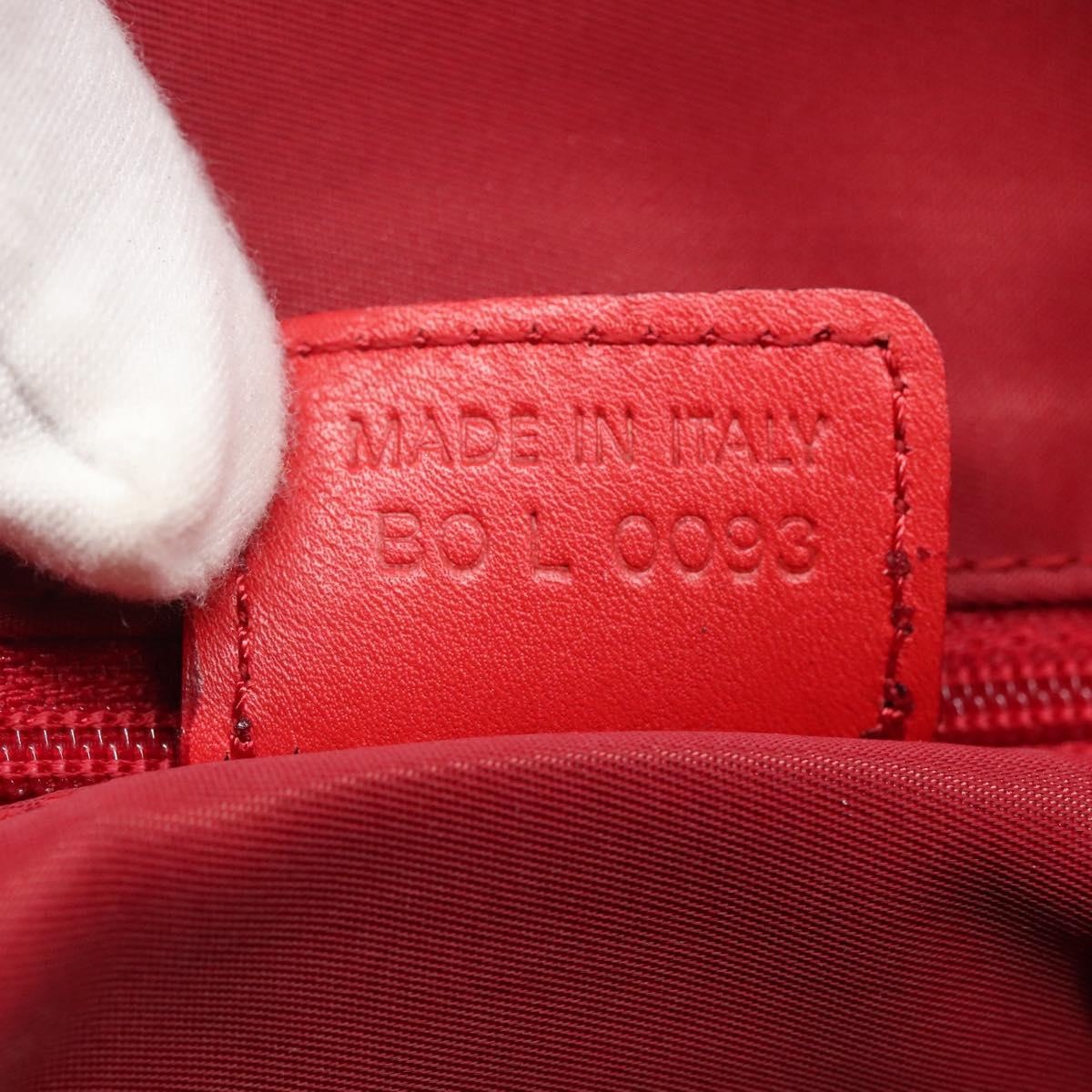 DIOR Trotter Canvas Hand Bag Red Silver - 12