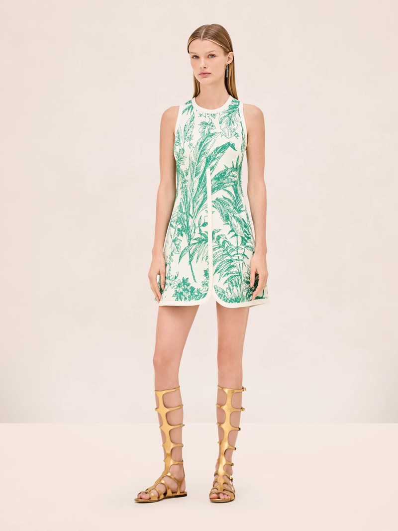 ALEXIS HELINA DRESS outlook