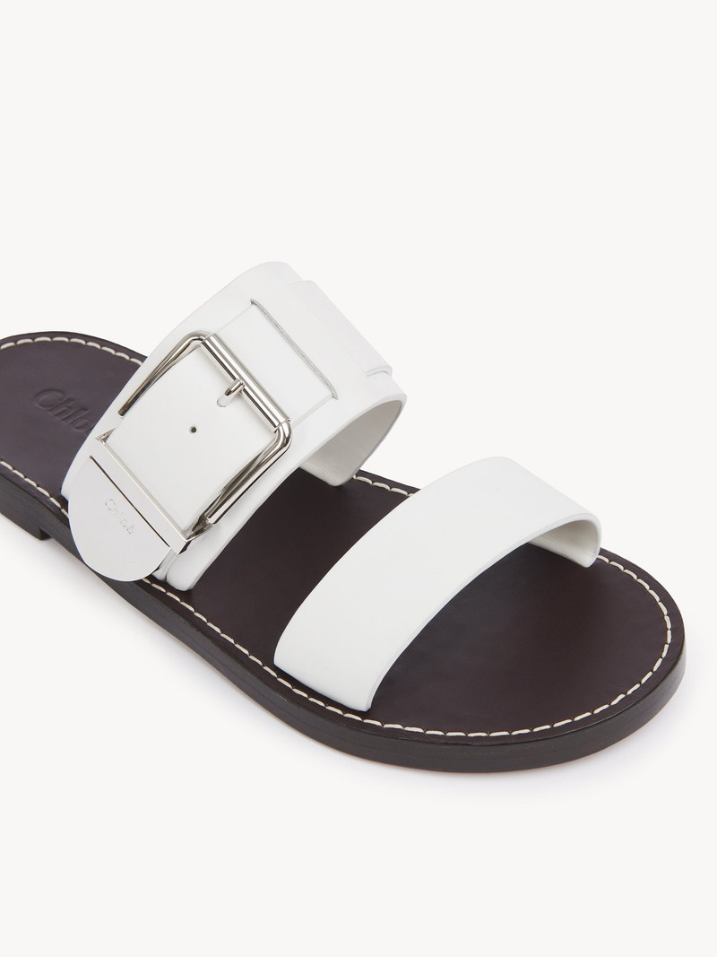 REBECCA SLIDE 5