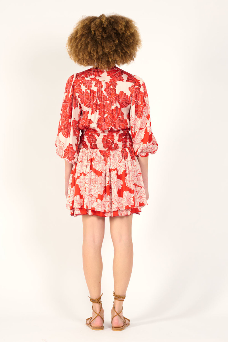 Mini Dress Colleen - Red Flower Bunch 6