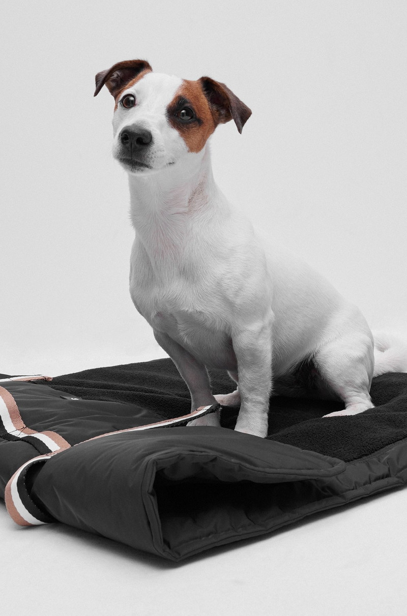 BOSS PORTABLE DOG MAT WITH SHERPA LINING outlook