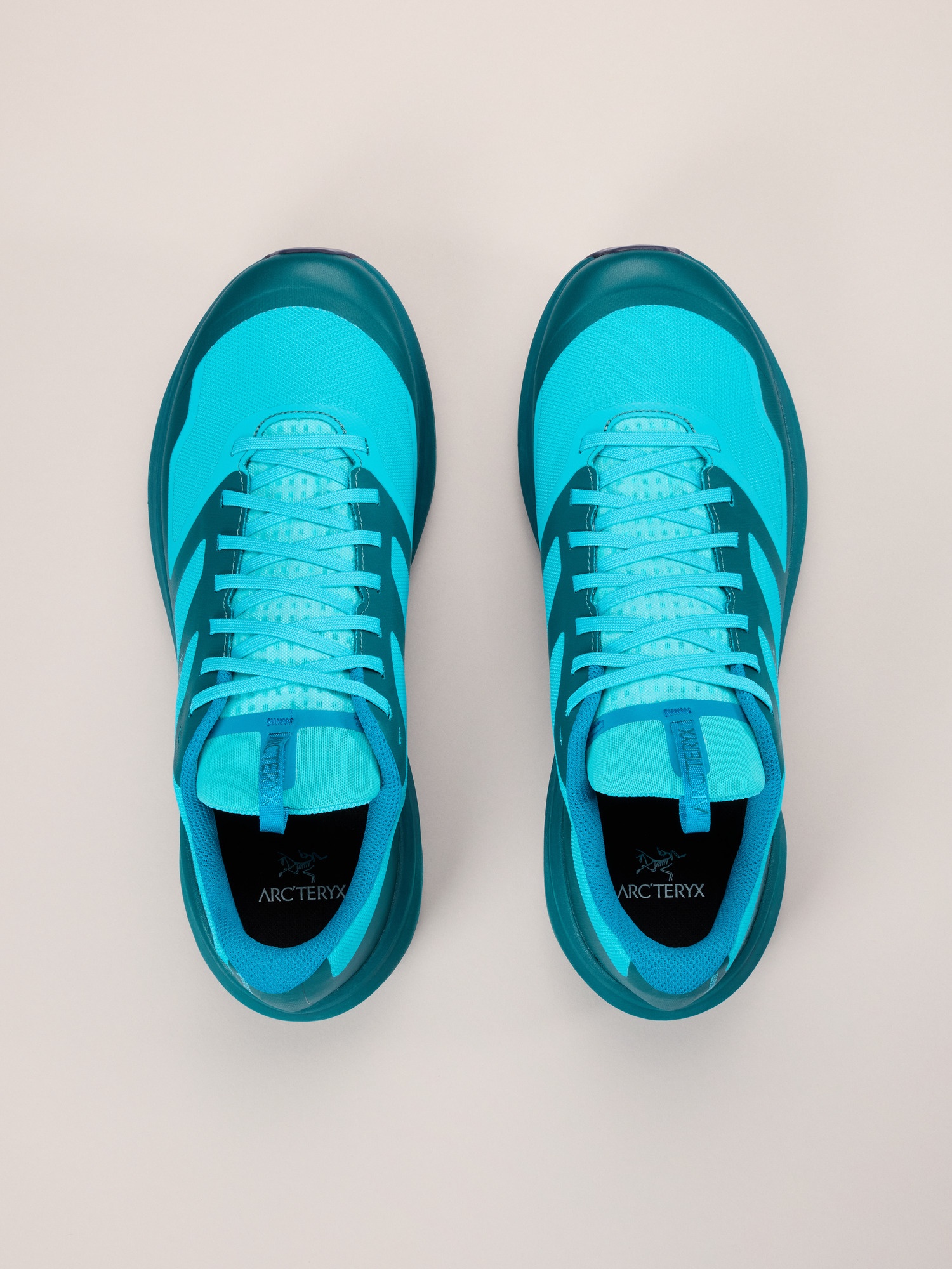 Norvan LD 3 GTX Shoe - 3