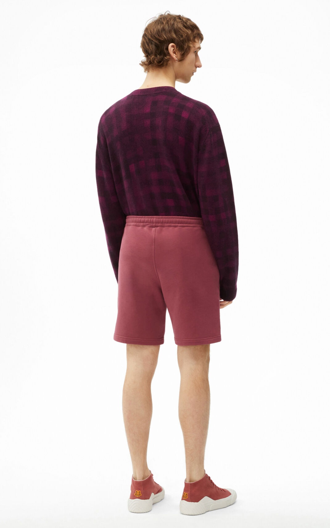 Tiger Crest shorts - 3