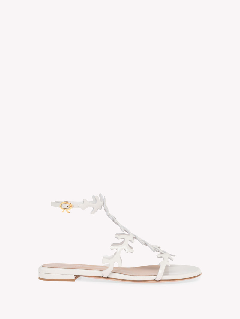 OCEAN FLAT 1