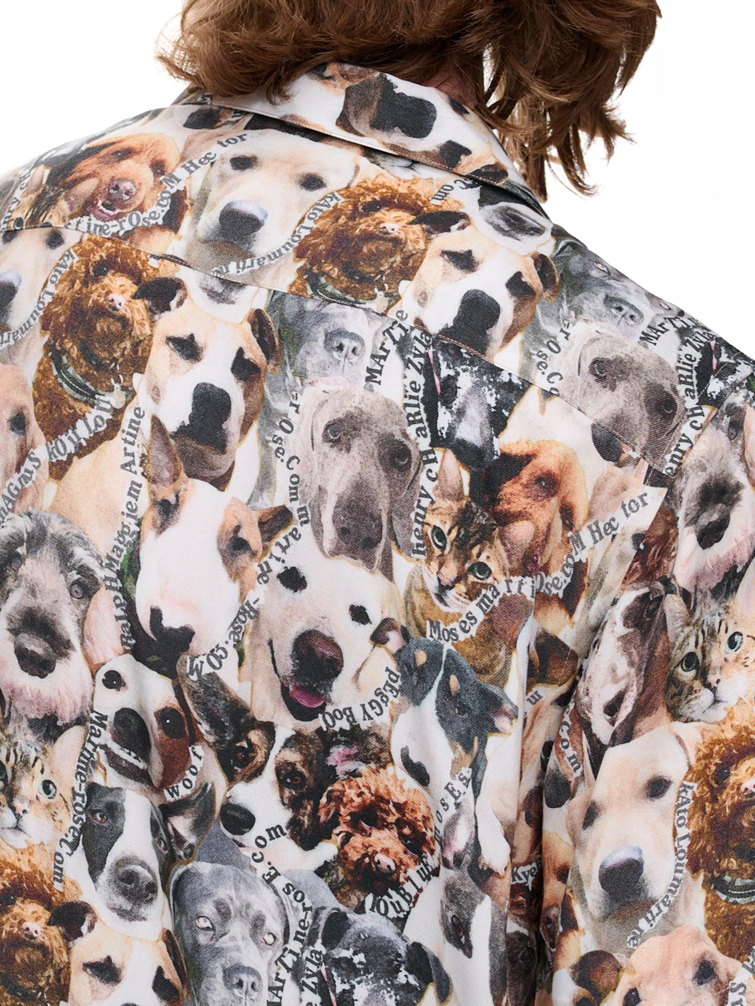 Cats Dogs Shirt - 4