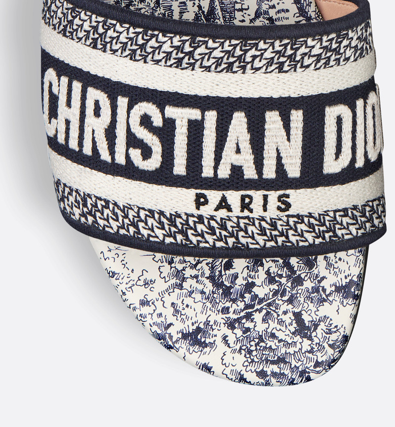 Dior Dway Slide outlook