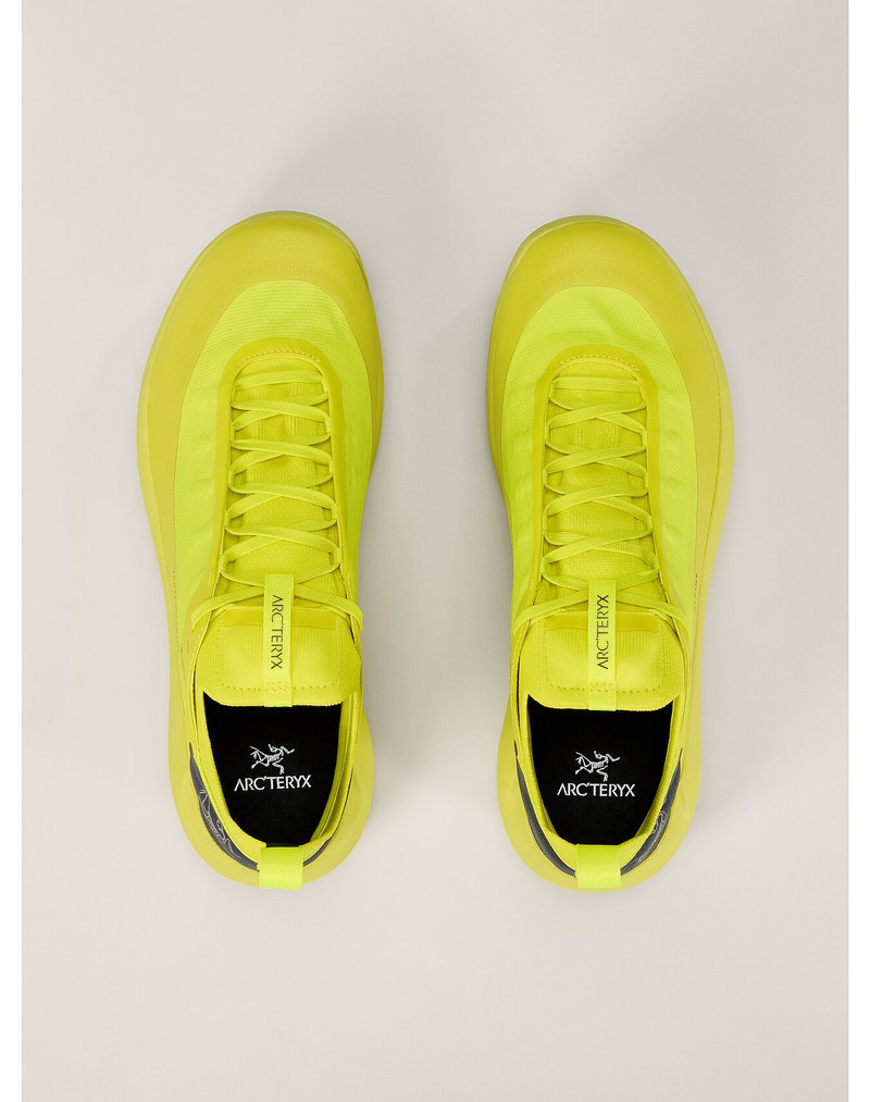 Vertex Alpine GTX Shoe 3