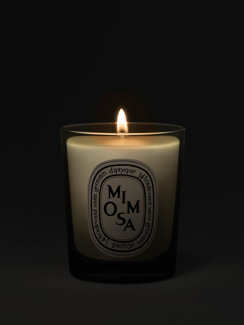 Diptyque Mimosa - Small Candle outlook