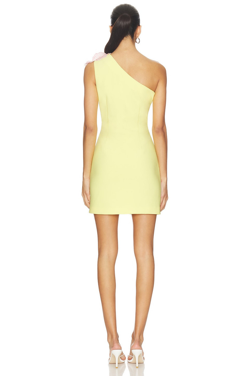 ELLIATT Hope Mini Dress outlook