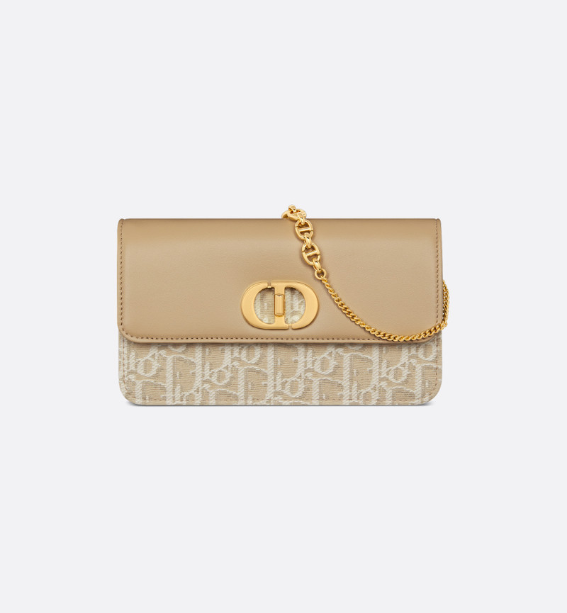 Miss Caro Pouch with Chain 1