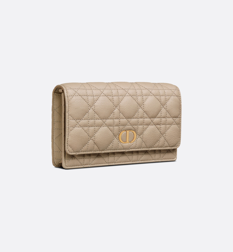 Dior Dior Caro Pouch outlook