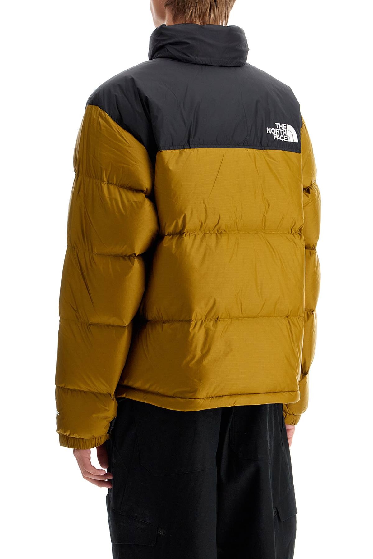 1996 Retro Nuptse Down Jacket - 2