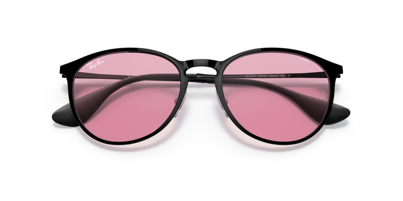 Ray-Ban ERIKA METAL EVOLVE outlook