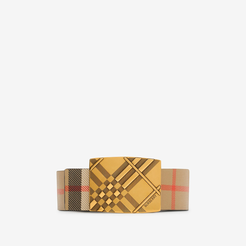 Reversible Engraved Check Belt 3