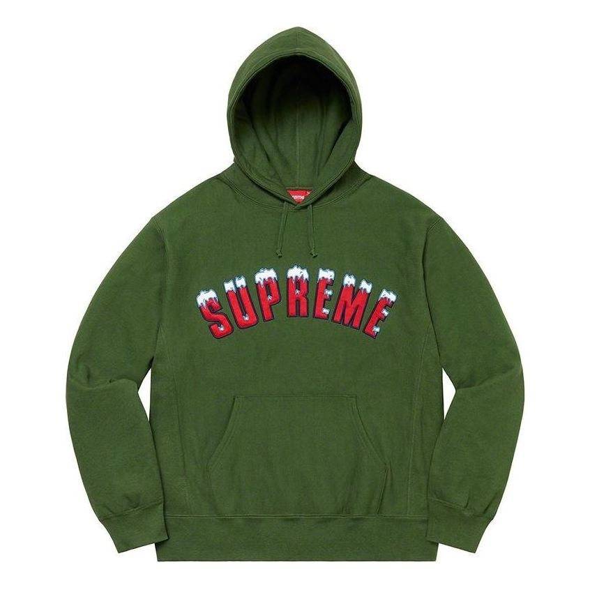 Supreme FW20 Week 1 Icy Arc Hoodie 'Olivegreen' SUP-FW20-004 - 1