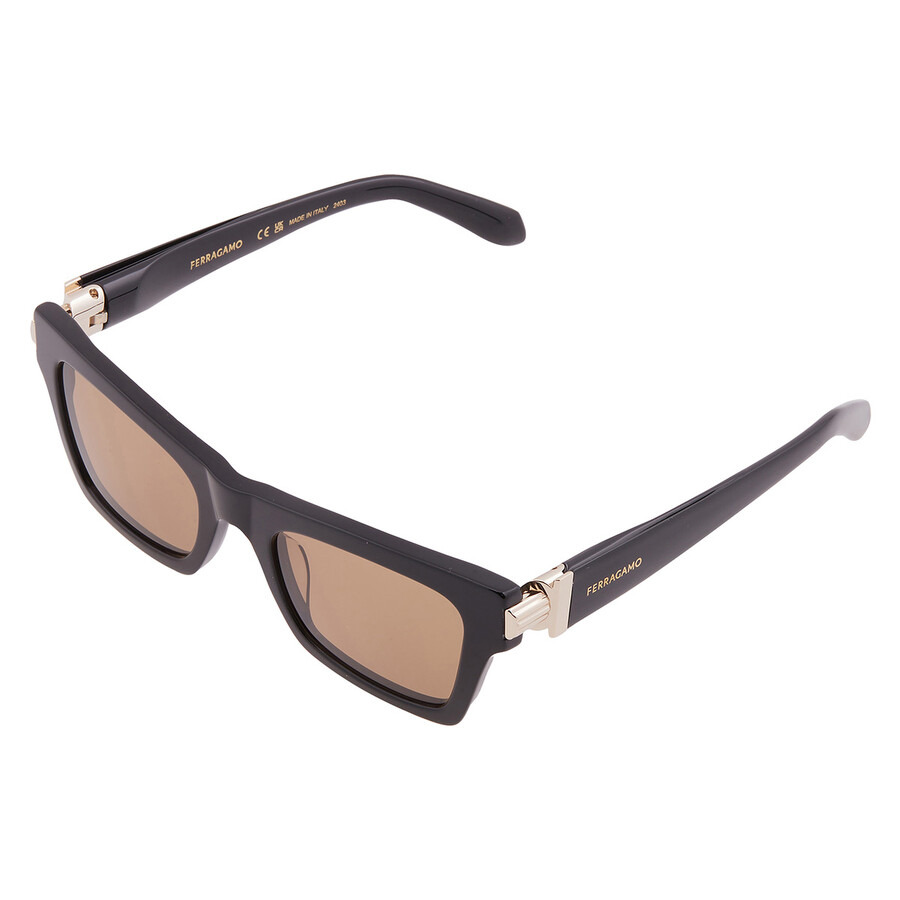 Ferragamo Brown Cat Eye Ladies Sunglasses SF2013S 011 52 - 3