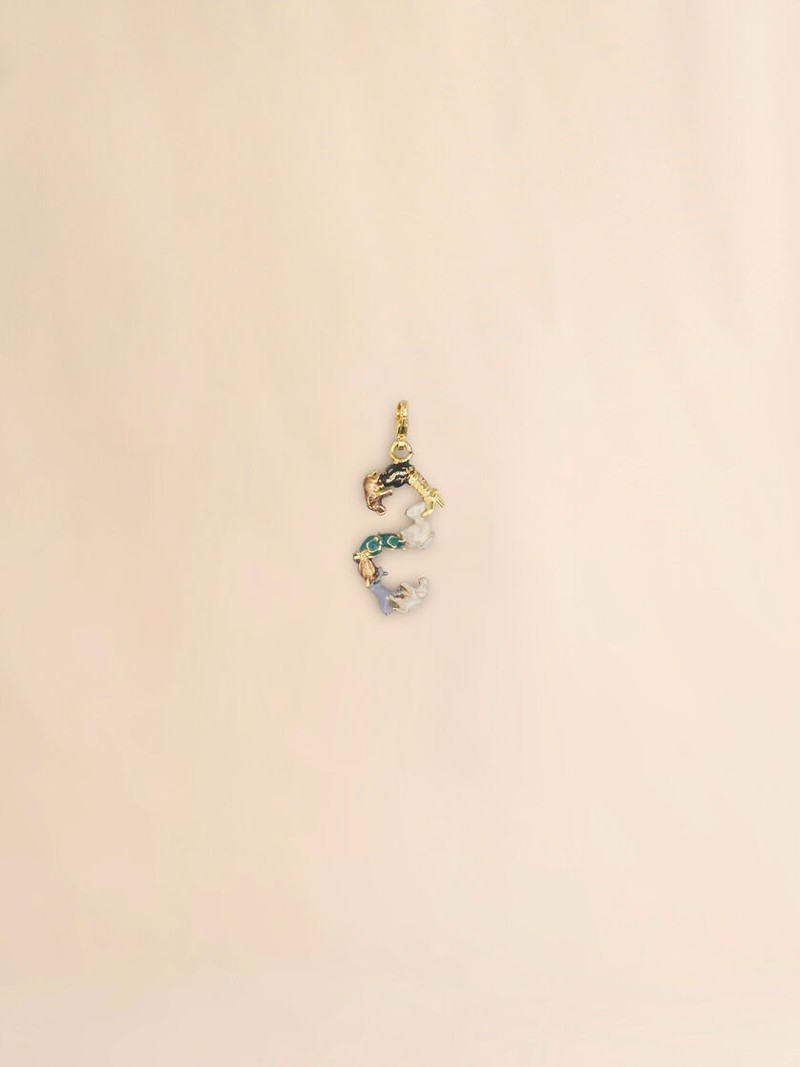 Marni MARNI ALPHABET "S" CHARM outlook