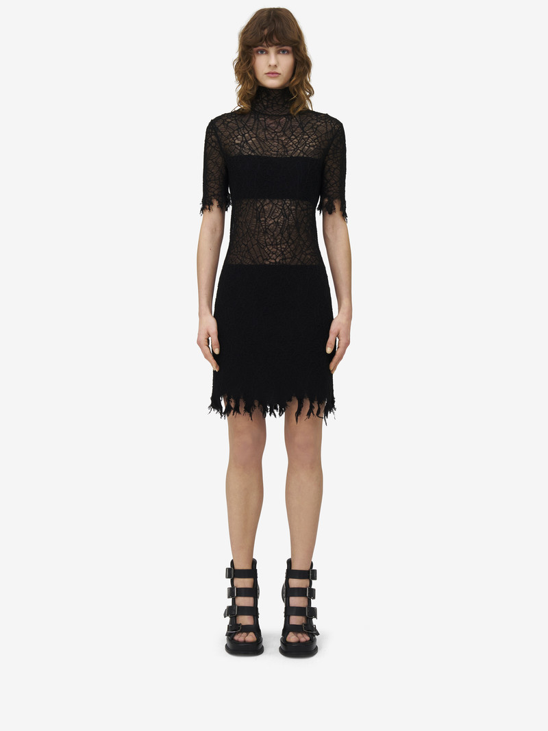Alexander McQueen Lace Mini Dress outlook