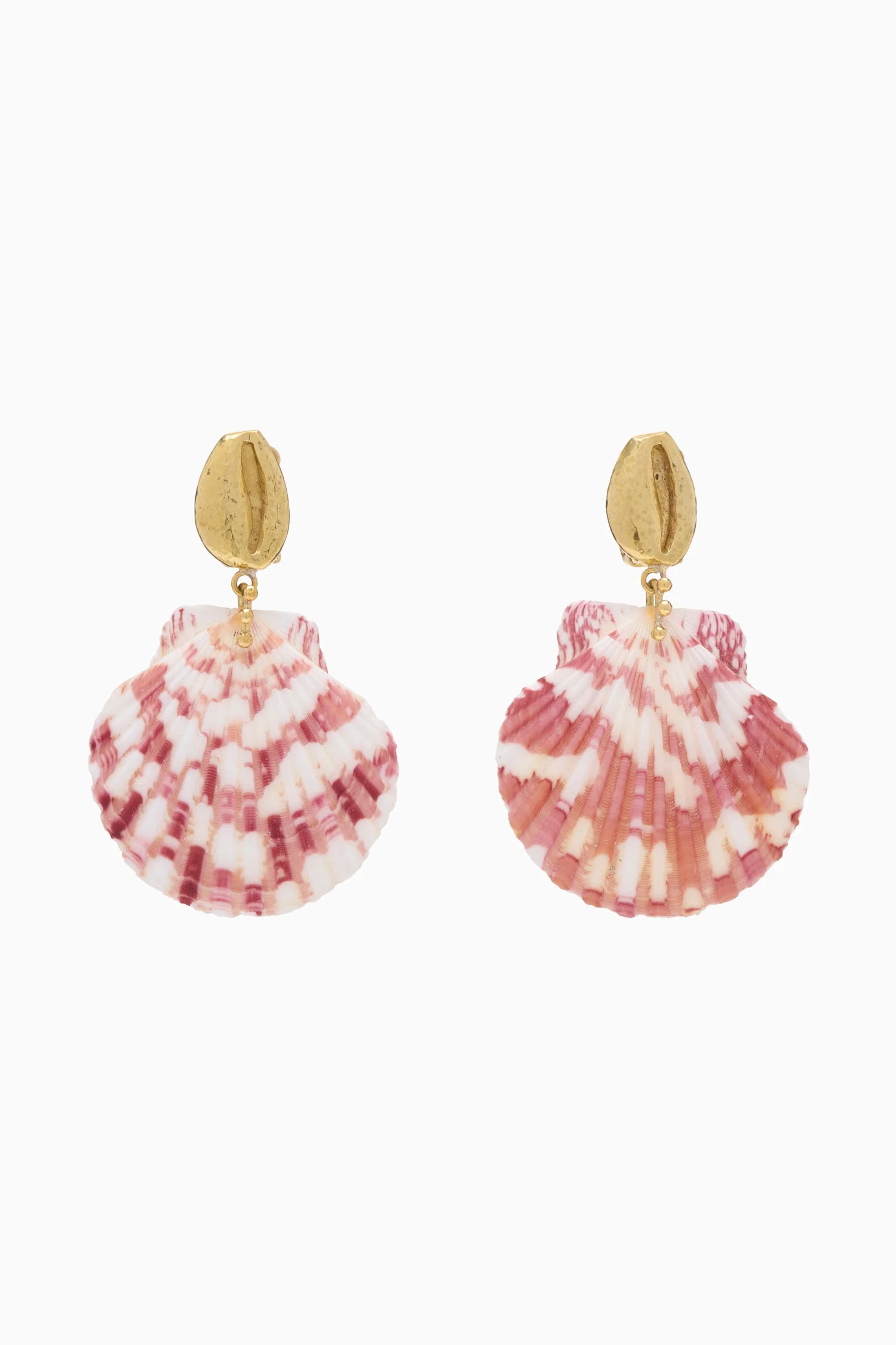 Mixed Shell Drop Earring - 1