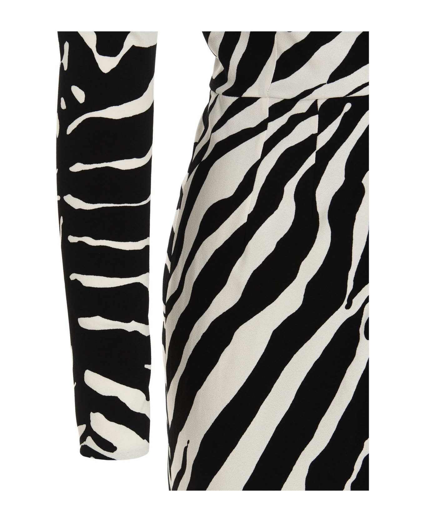 Zebra Dress - 4