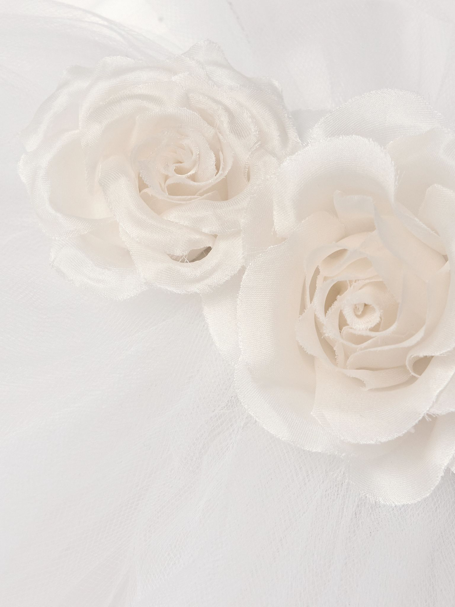 Embellished silk-tulle veil White - 5