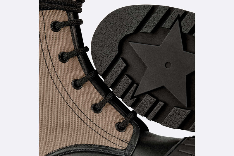 Dior D-Major Ankle Boot outlook