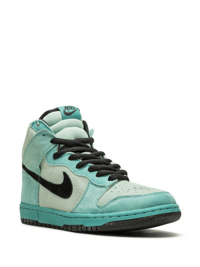 Nike Dunk High Pro SB sneakers outlook