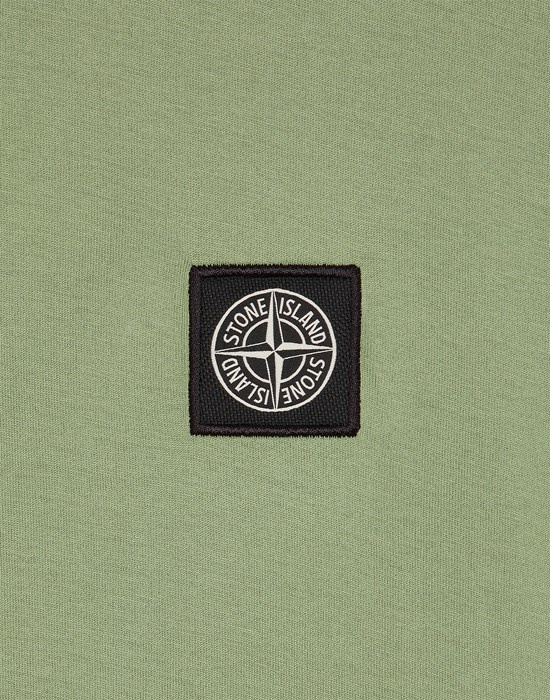 24113 SAGE GREEN - 4