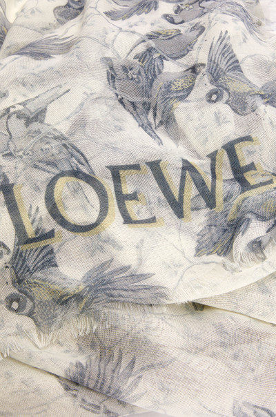 Loewe Shawl in cashmere and silk outlook