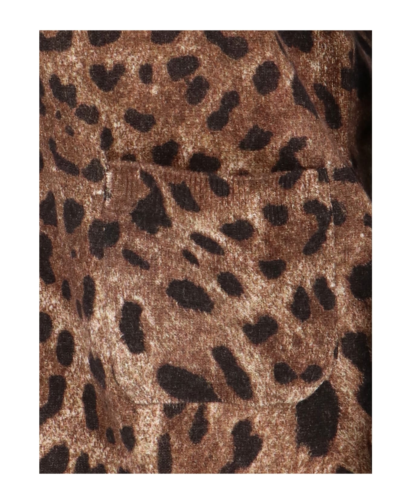 Animal Print Cardigan - 4