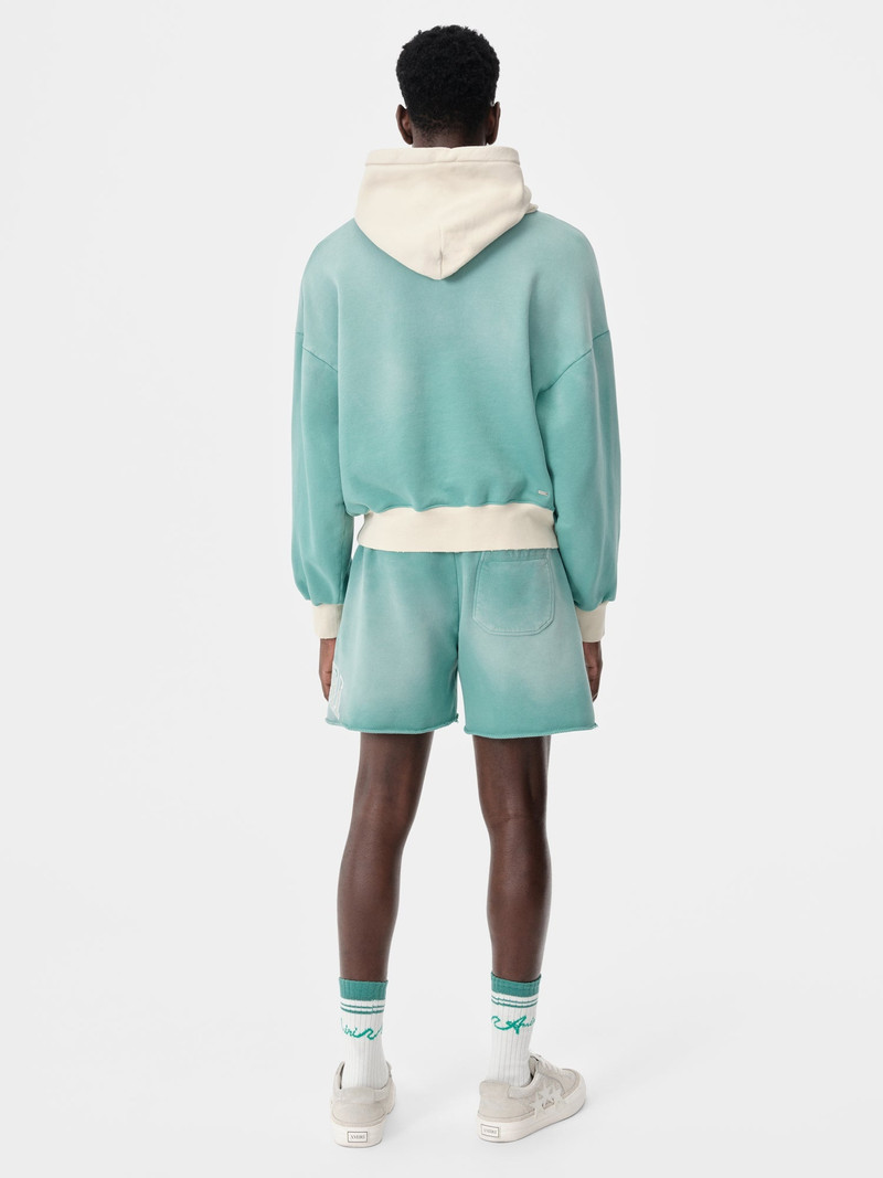 AMIRI VINTAGE COLLEGIATE SHORT 5